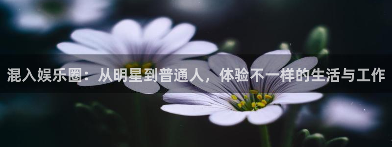 长运娱乐：混入娱乐圈：从明星到普通人，体验不一样的生活与工作