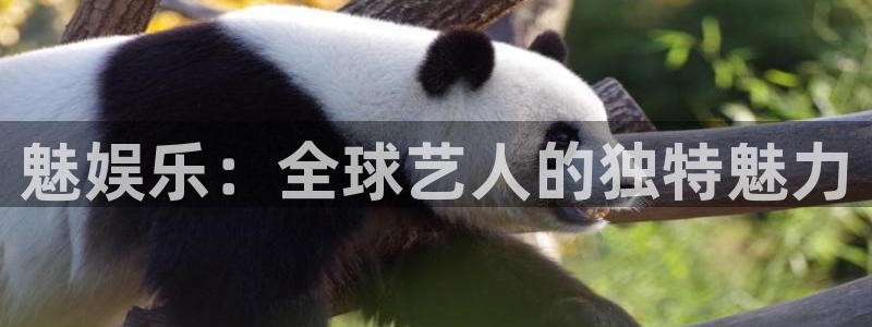 长运娱乐官网