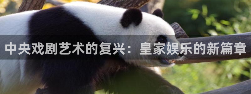 长运娱乐