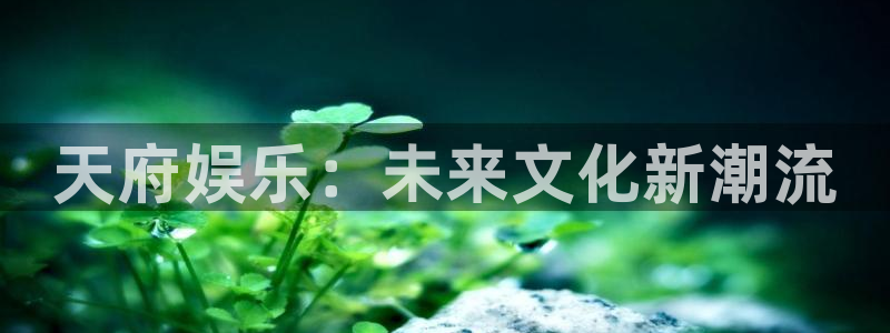 长运娱乐平台测速登录
