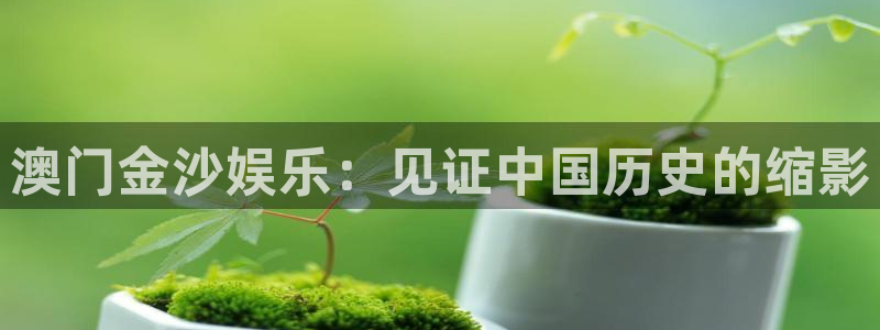 长运娱乐官网登录入口