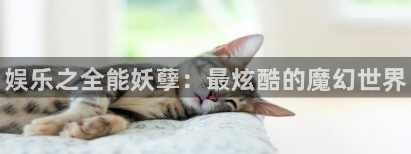 长运娱乐主管：娱乐之全能妖孽：最炫酷的魔幻世界